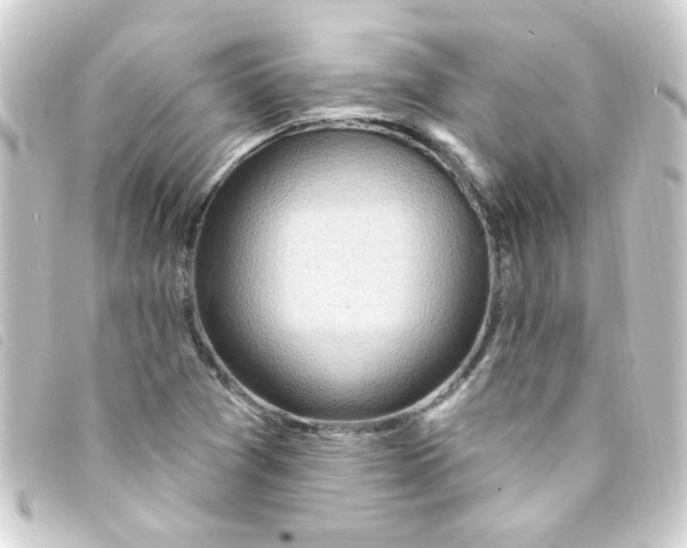 X0000093261361200710241325