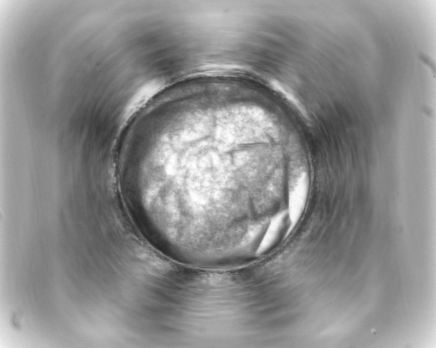X0000093261362200710241325
