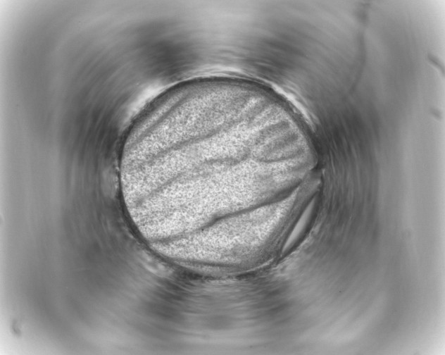 X0000093261363200710241325