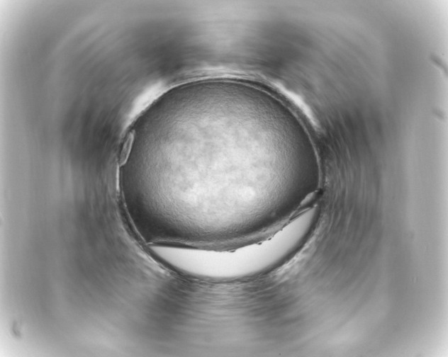 X0000093261365200710241325