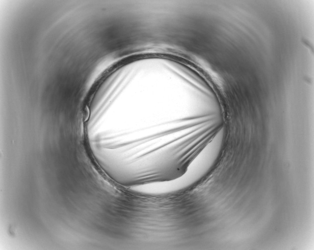 X0000093261368200710241325