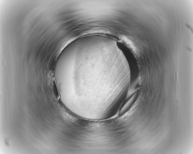 X0000093261369200710241325