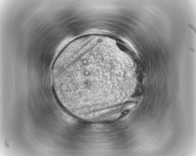 X0000093261371200710241325