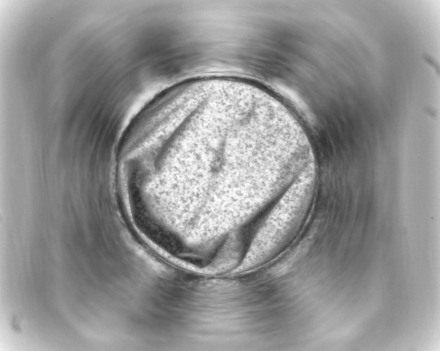 X0000093261374200710241325