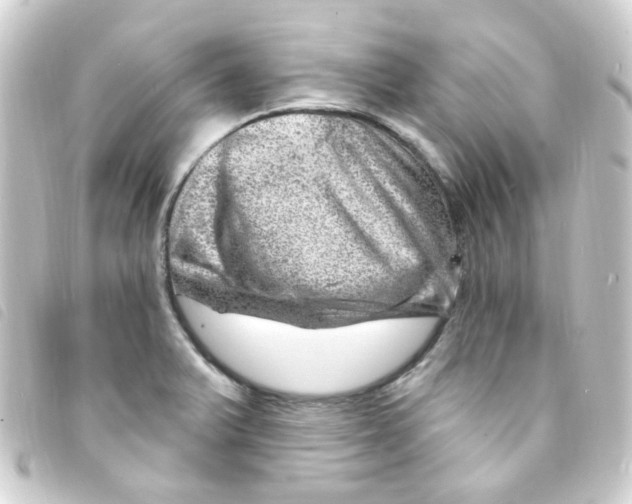 X0000093261375200710241325