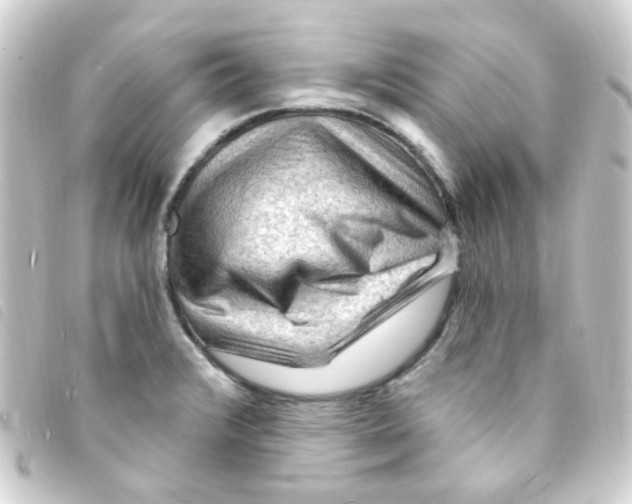 X0000093261376200710241325