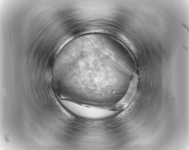 X0000093261377200710241325