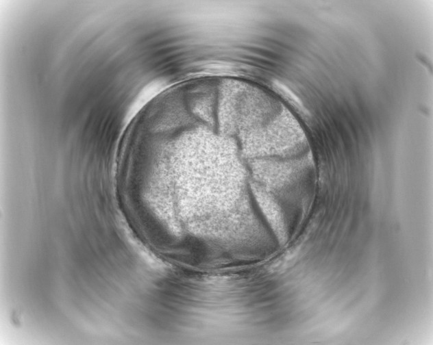 X0000093261378200710241325