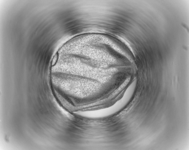 X0000093261379200710241325