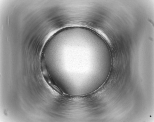 X0000093261380200710241325