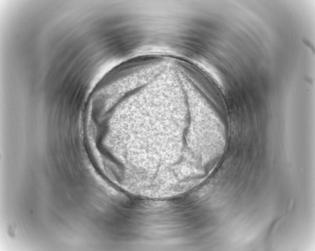 X0000093261382200710241325