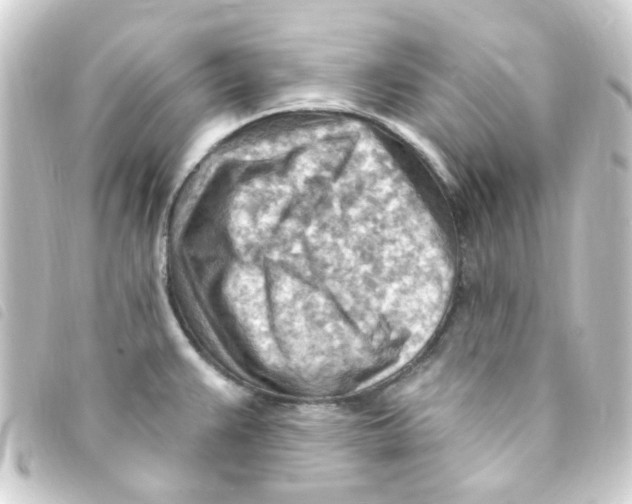 X0000093261383200710241325