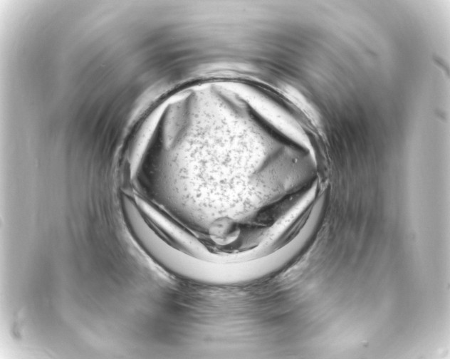 X0000093261384200710241325