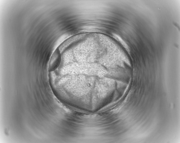 X0000093261386200710241325