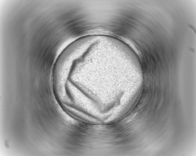 X0000093261387200710241325