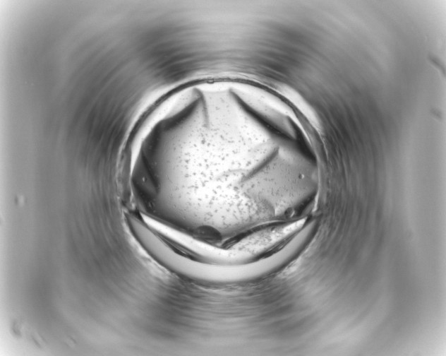 X0000093261388200710241325