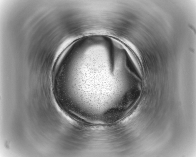 X0000093261389200710241325