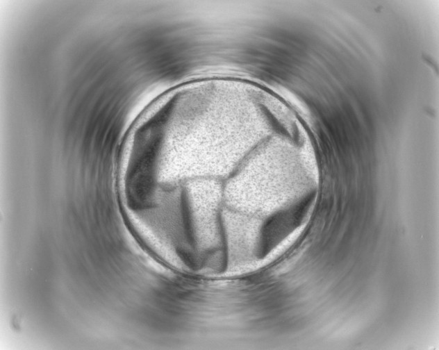 X0000093261390200710241325