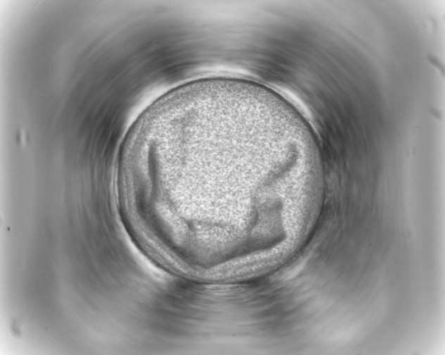 X0000093261391200710241325