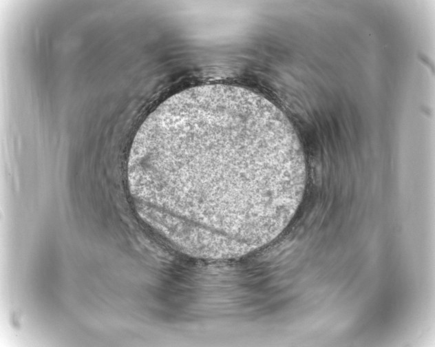 X0000093261393200710241324