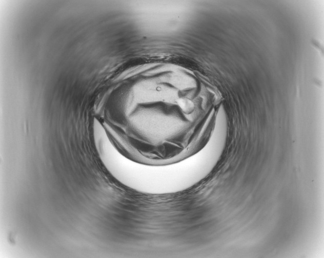 X0000093261394200710241324