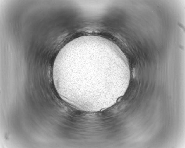 X0000093261396200710241324