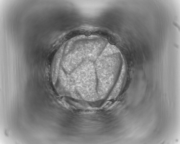 X0000093261397200710241324