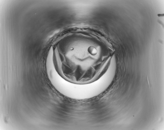 X0000093261398200710241324