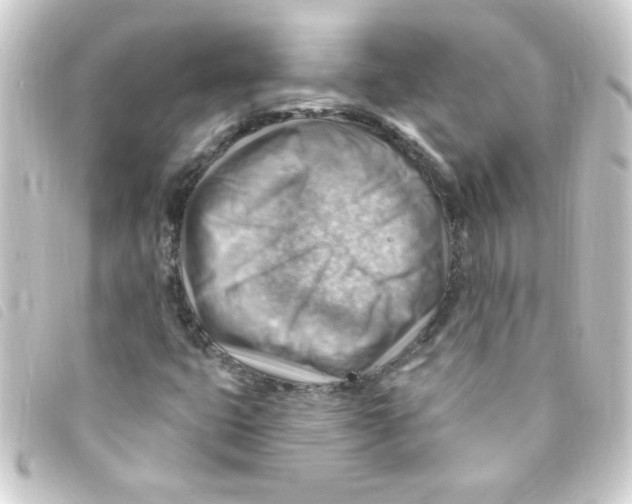 X0000093261399200710241324