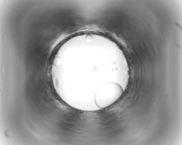 X0000093261400200710241324