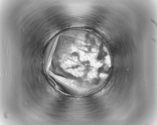 X0000093261401200710241324