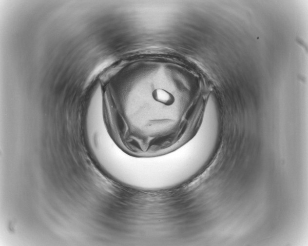 X0000093261402200710241324