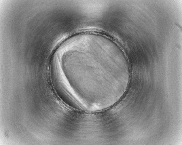 X0000093261405200710241324