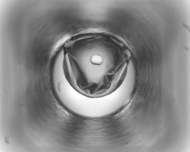 X0000093261406200710241324