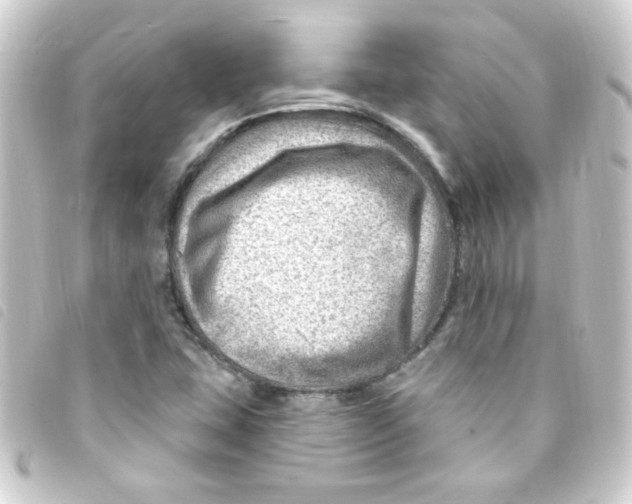 X0000093261407200710241324