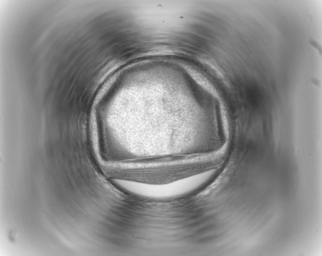 X0000093261409200710241324