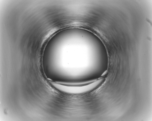 X0000093261410200710241324