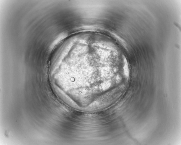 X0000093261411200710241324