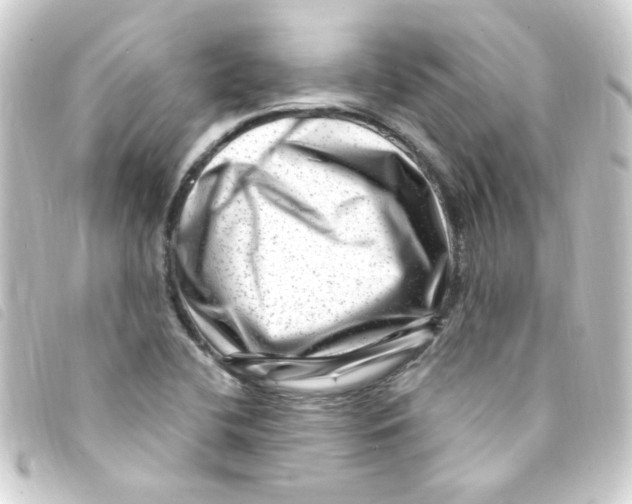 X0000093261412200710241324