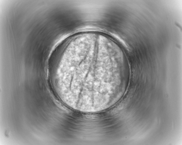 X0000093261413200710241324