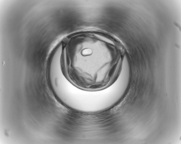 X0000093261414200710241324