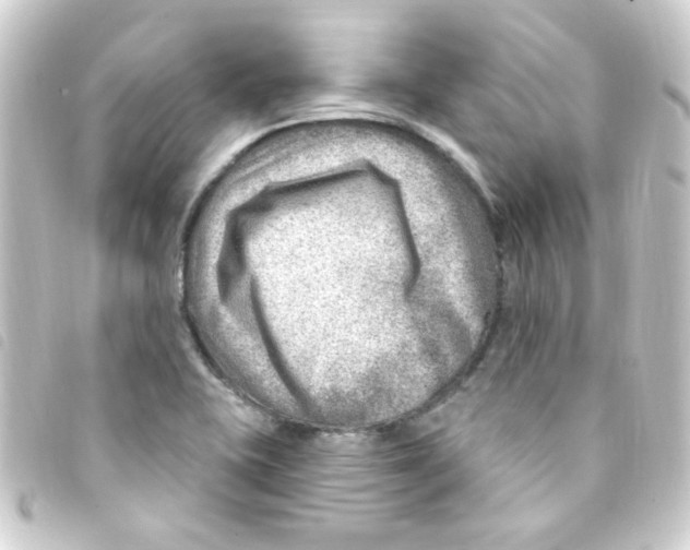 X0000093261415200710241324