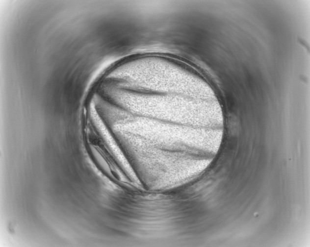 X0000093261416200710241324