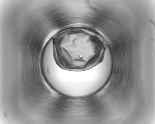 X0000093261418200710241324