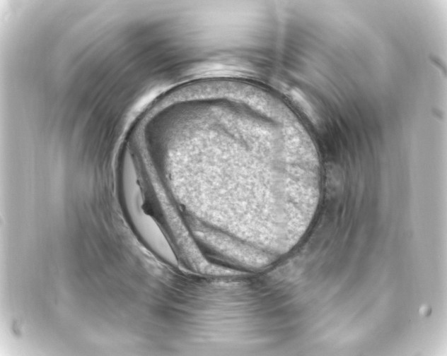 X0000093261419200710241324