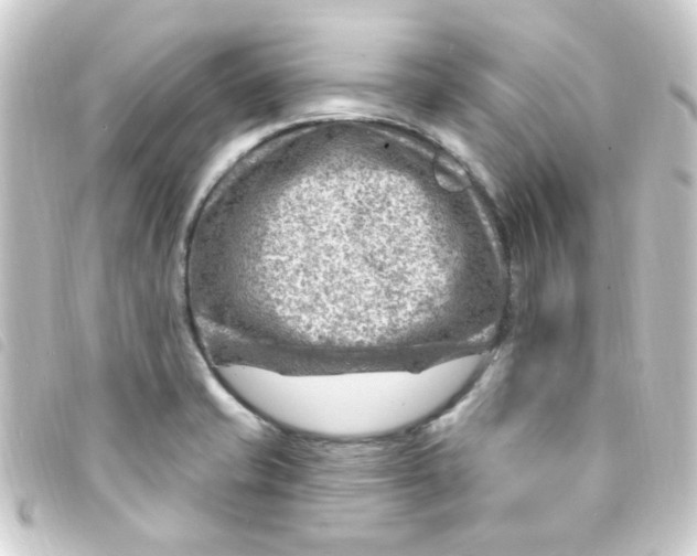 X0000093261421200710241324