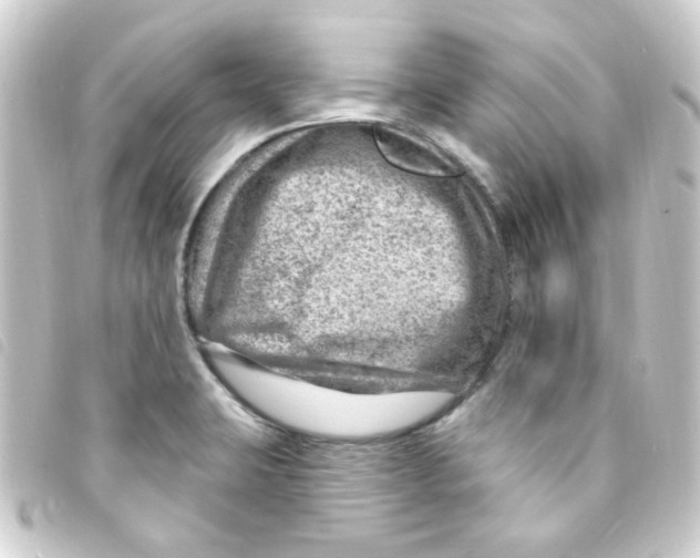 X0000093261423200710241324