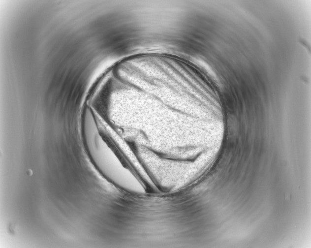 X0000093261424200710241324