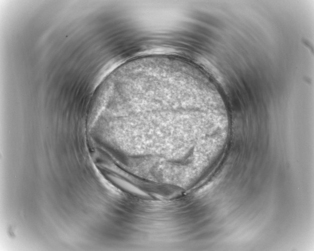 X0000093261425200710241324