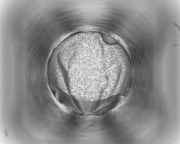 X0000093261429200710241324